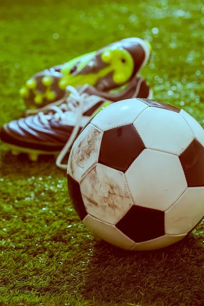 球盟会体育平台 合规与可信